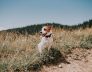 Perth Clairmont Small Dog Kennel