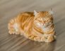 cat care tips