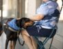 train your dog as a therapy dog